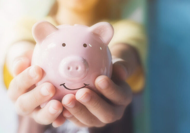 A person holding a piggy bank - Trust In A Will